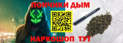 гашик Моздок