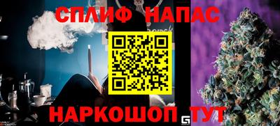 гашик Моздок