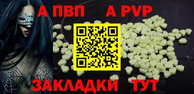 гашик Моздок