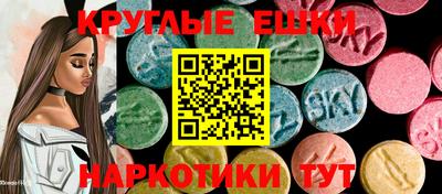 гашик Моздок