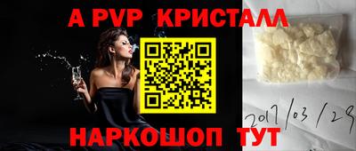 гашик Моздок