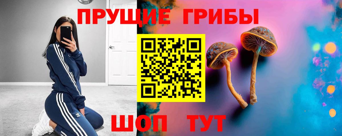 Псилоцибиновые грибы MAGIC MUSHROOMS  Вход с VPN  купить   Ульяновск 